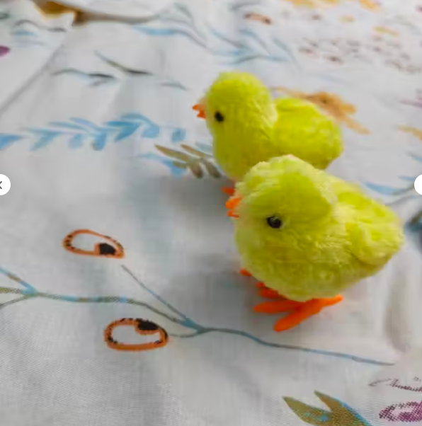 Little Yellow chicks for kids pack of 2