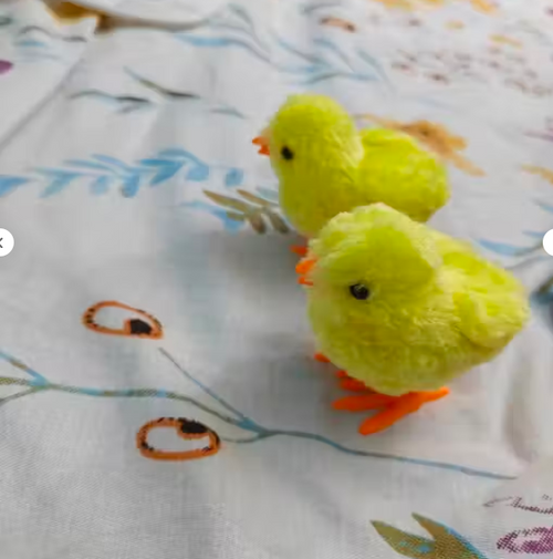 Little Yellow chicks for kids pack of 2